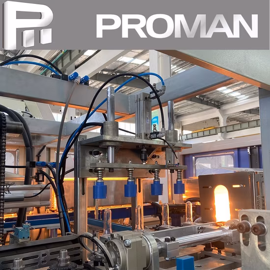 1000ml 애완 동물 병 블로우 성형기